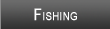 Cave Run Lake Fishing